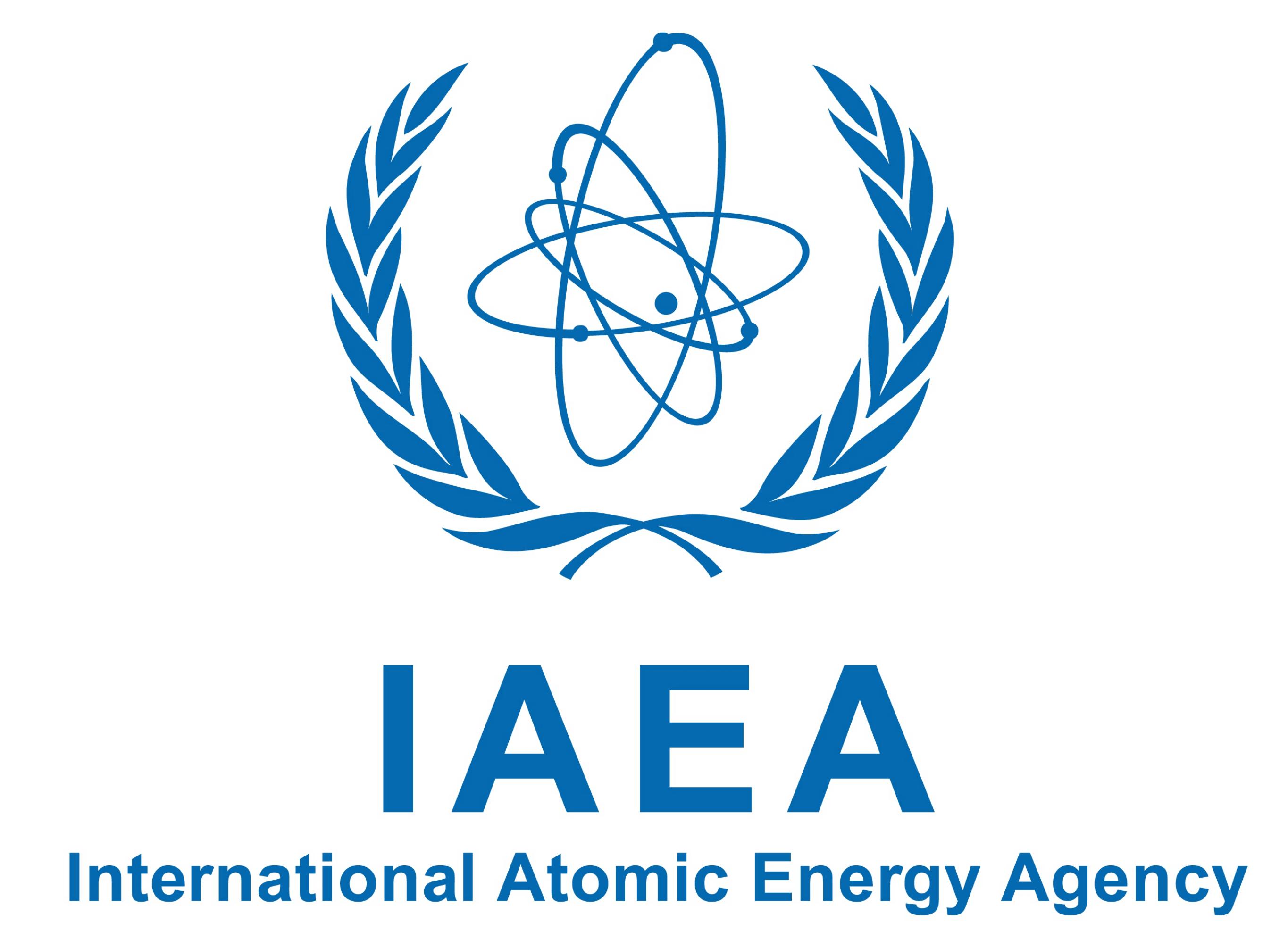 Icons 2024 Iaea Safeguards Grata Livvyy