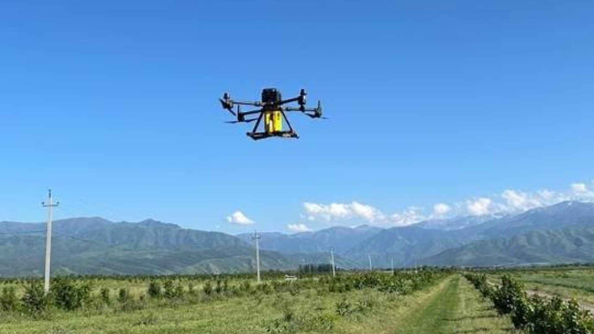 Kazakh scientists develop drone technology that helps protect crops from pests
