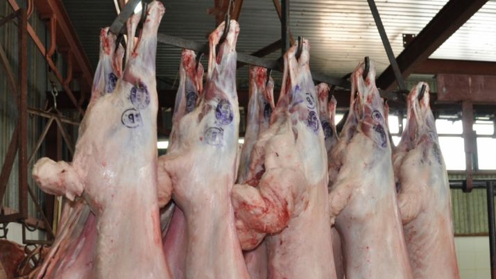 Kazakhstan plans to increase lamb export to China