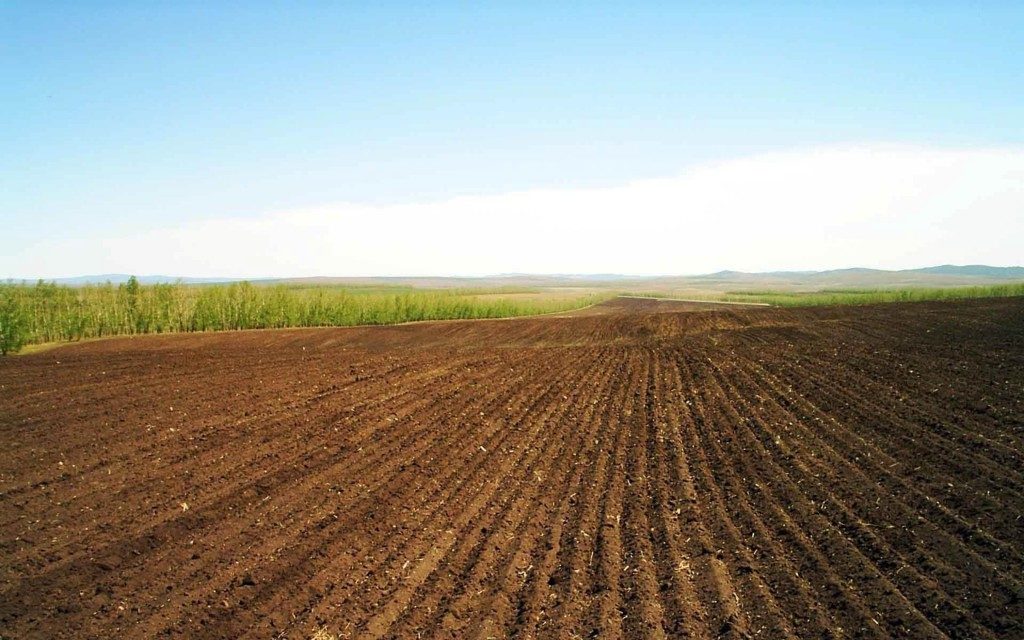 Kazakhstan has two and a half million hectares of unused agricultural land  - The Astana Times