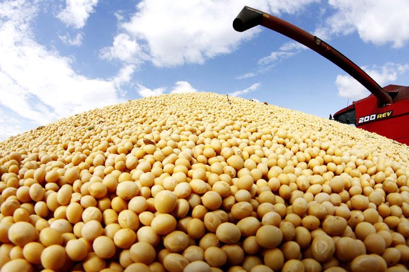 North Kazakhstan farmers harvest first major soybean crop - The Astana Times