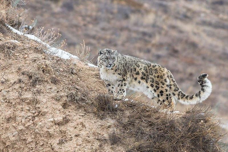 UNDP and Kazakhstan Working Together to Develop and Expand Safe