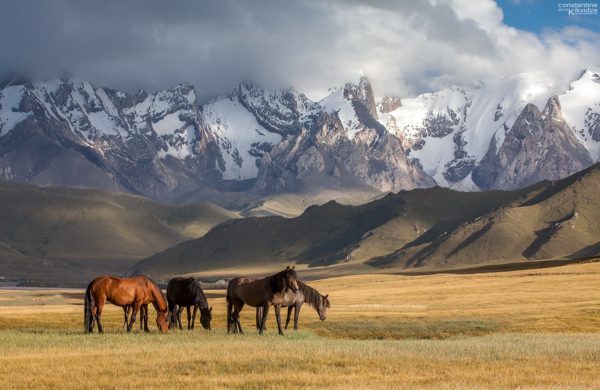 kazakh tour