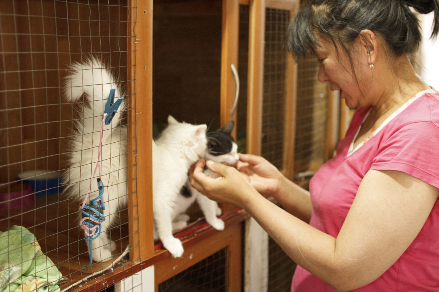 Special Photo Exhibition Raises Awareness About Animals in