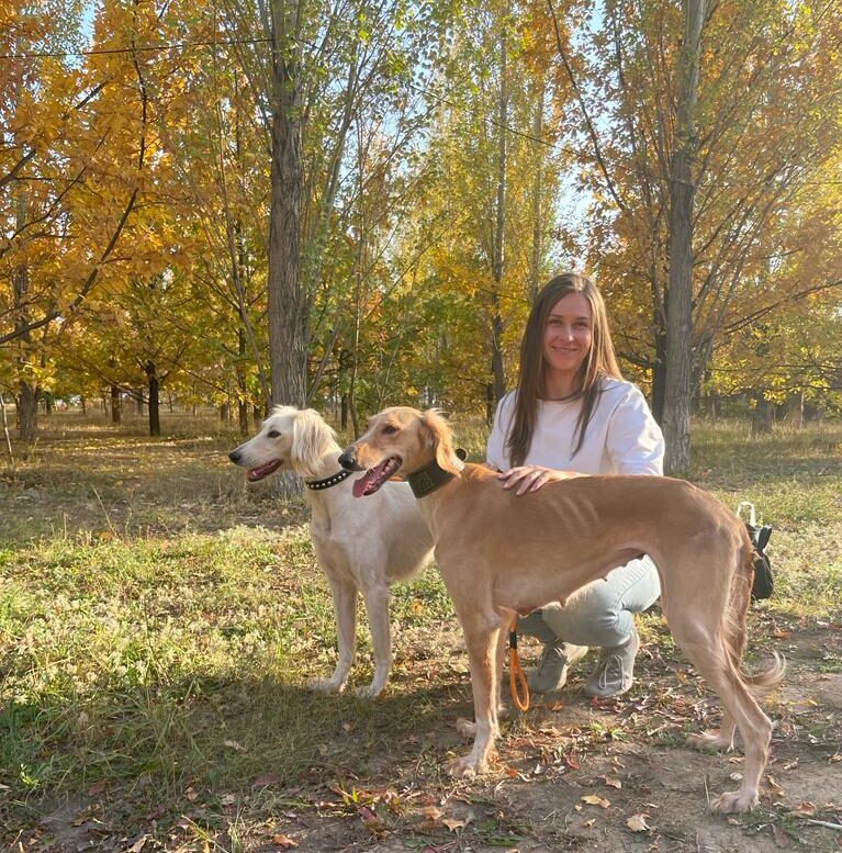 One of Kazakhstan’s Miracles The Tazy Hunting Dog Breed (With Video