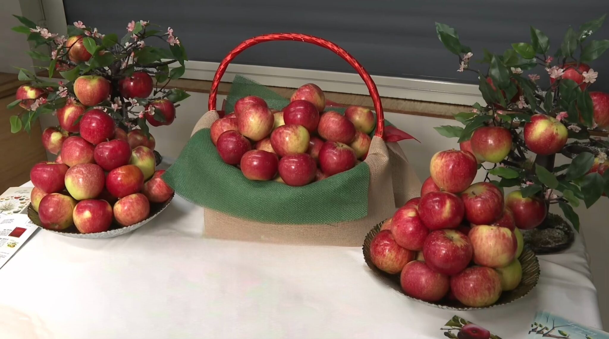 All Roads Lead to Rome Legendary Almaty Aport Apple Hits Global Spotlight The Astana Times