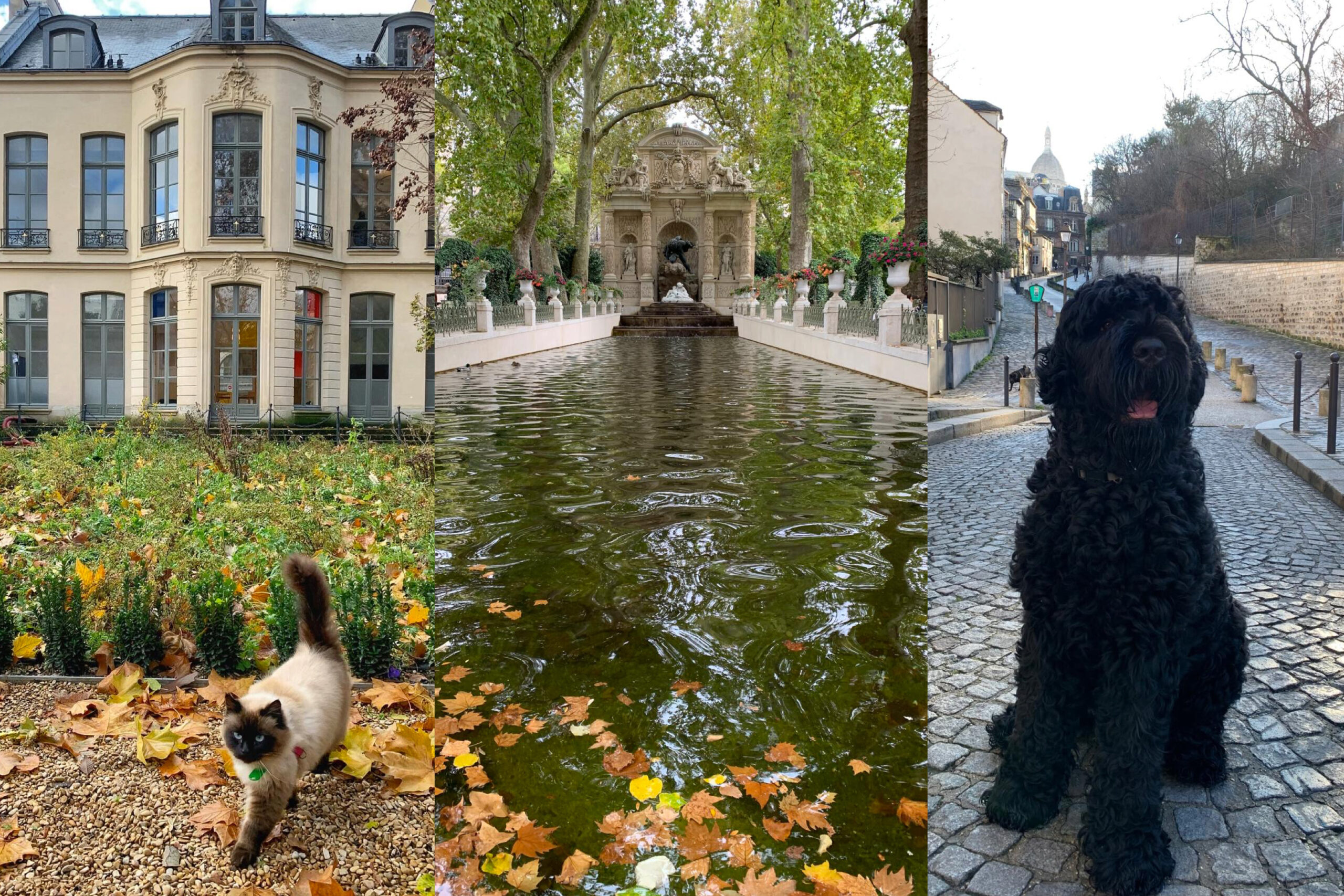 Kazakh Guide Becomes Licensed Cultural Ambassador in France