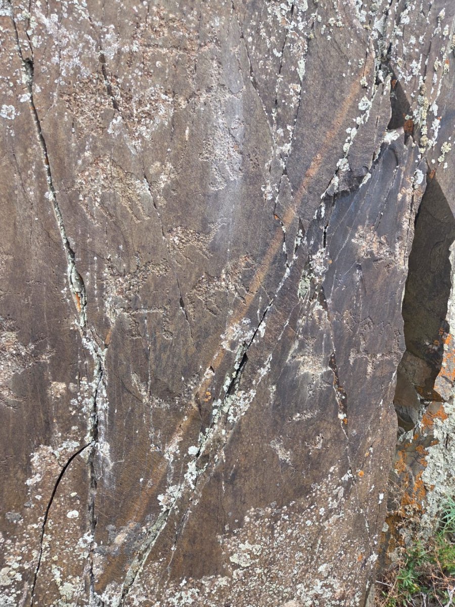 Ancient Turkic Runic Inscription Discovered in Kazakhstan
